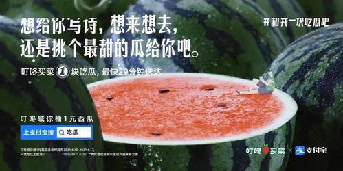 今日宜吃瓜文案,揭秘娱乐圈最新热点事件